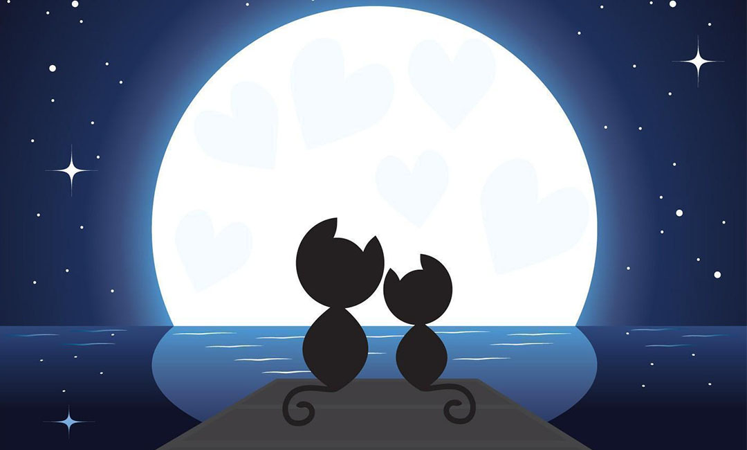 大同潮客汇微信活动策划案例